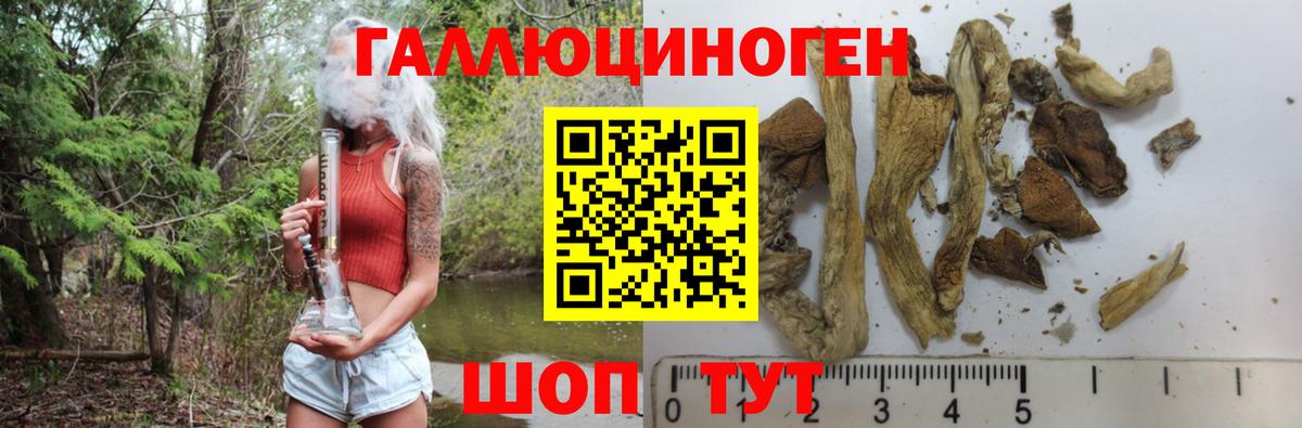 Псилоцибиновые грибы Psilocybine cubensis  Вход с VPN  Вольск 