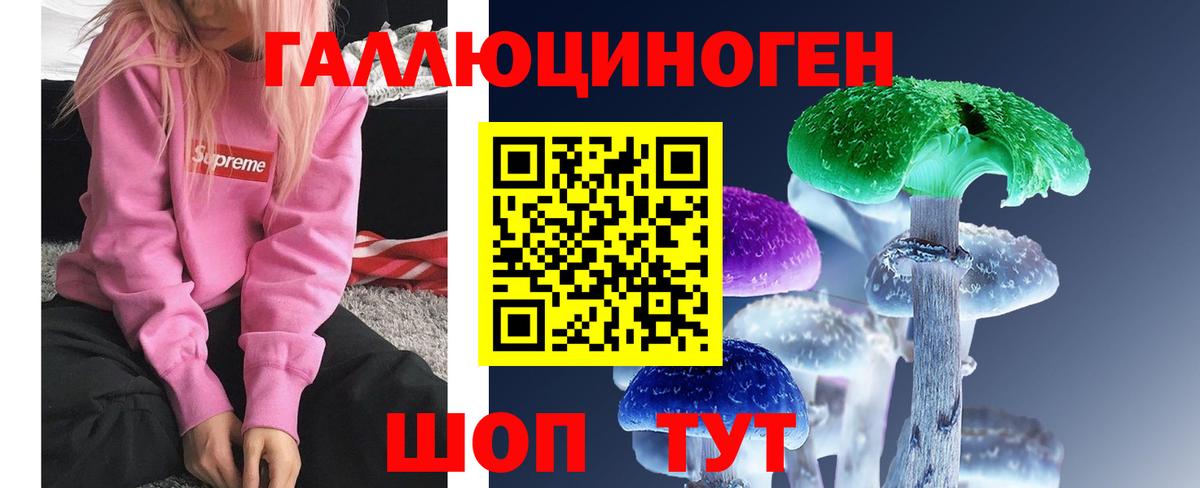 Псилоцибиновые грибы мухоморы Вольск